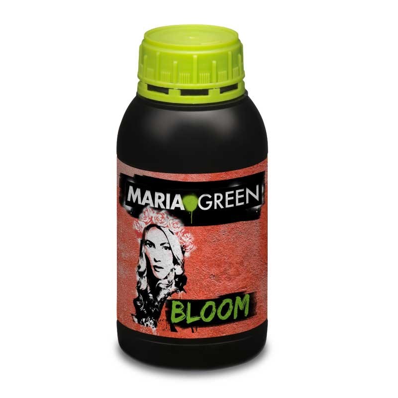 BLOOM 500ML MARIA GREEN