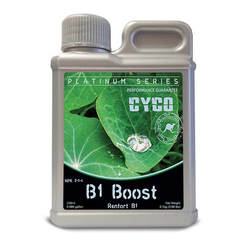 B1 BOOST 1L CYCO