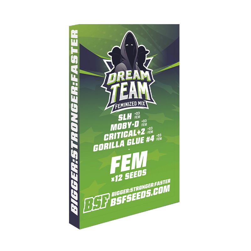 DREAM TEAM FEMINIZED MIX 12UDS BSF SEEDS