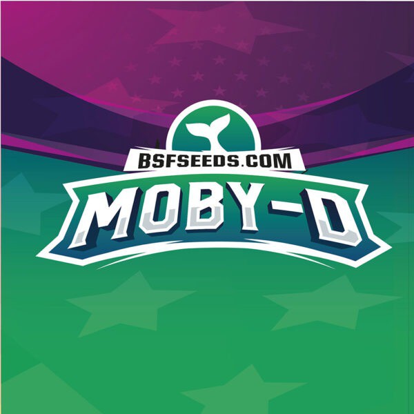 MOBY-D 2 UDS BSF SEEDS