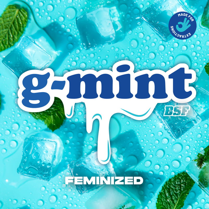 G-MINT 4UDS BSF SEEDS