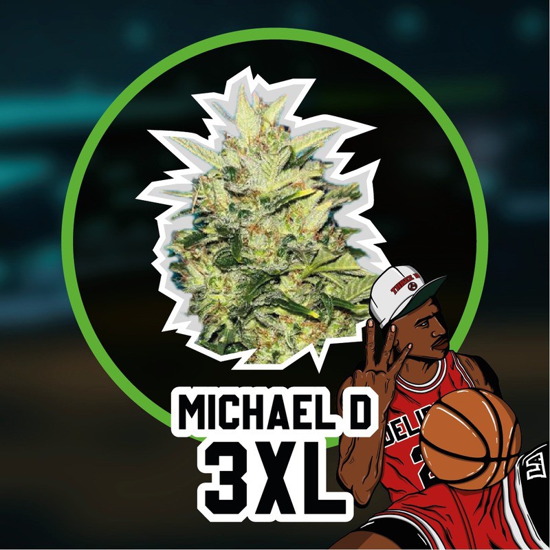 DELIRIUM SEEDS MICHAEL D 3XL AUTO 2UDS