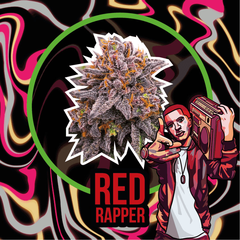 DELIRIUM SEEDS RED RAPPER AUTO 2UDS