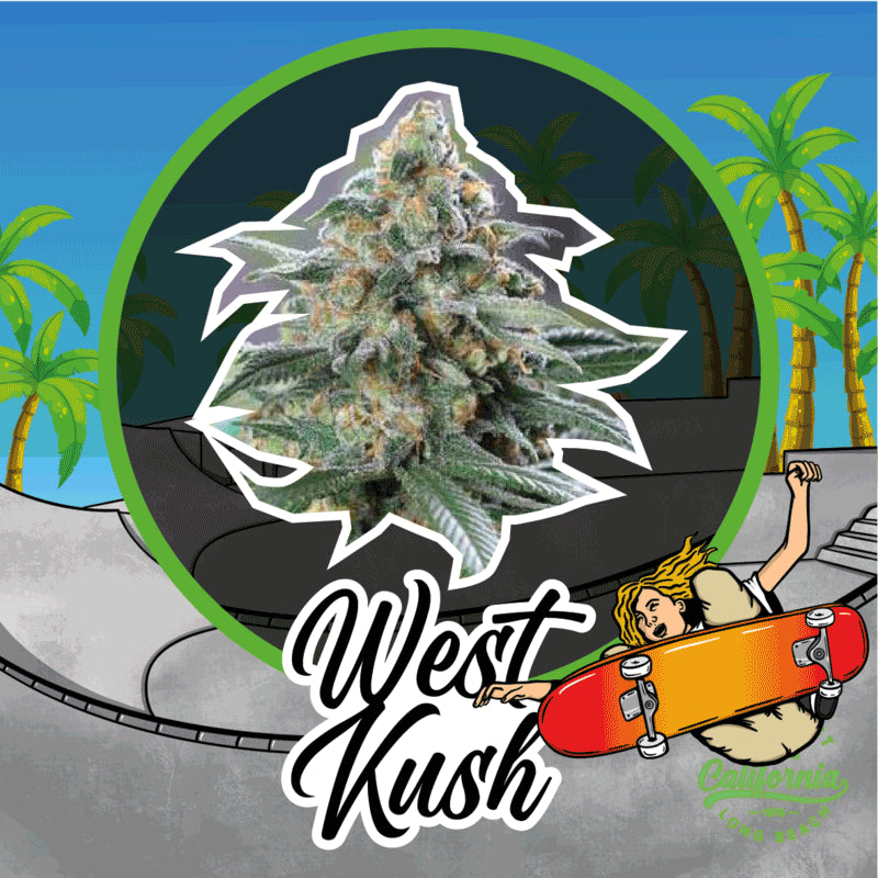 DELIRIUM SEEDS WEST KUSH 2UDS