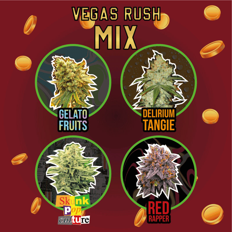 DELIRIUM SEEDS MIX VEGAS RUSH 8UDS