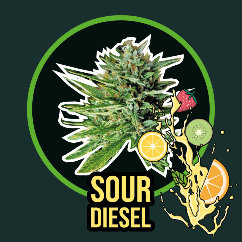 DELIRIUM SEEDS SOUR DIESEL FAST 2UDS