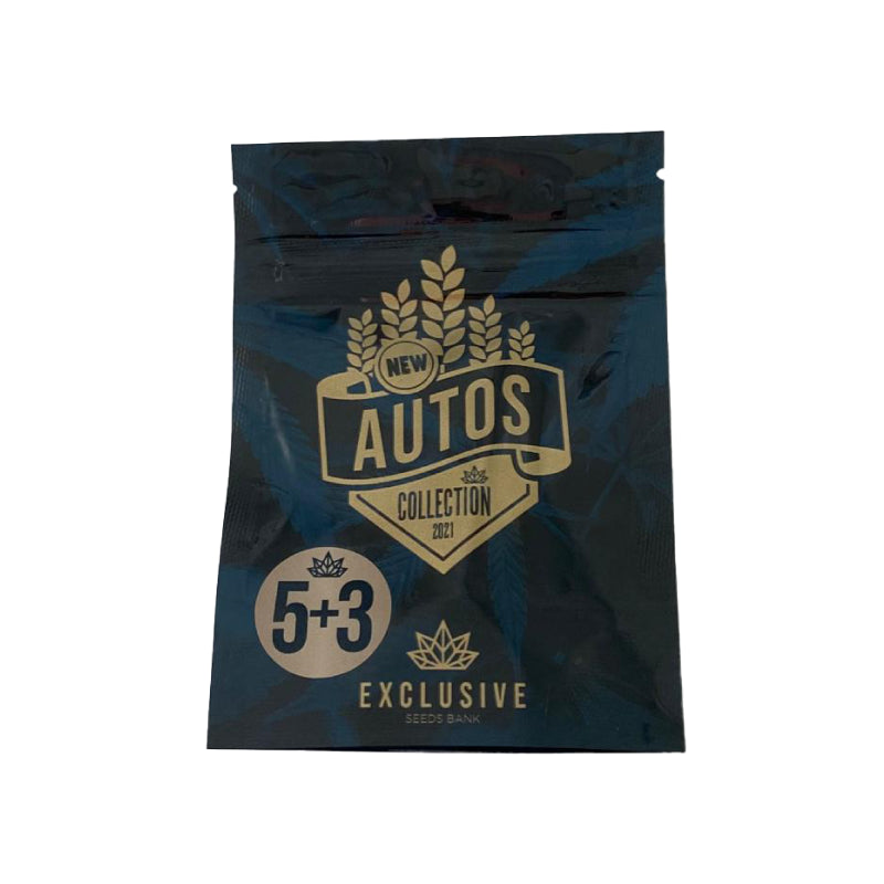 EXCLUSIVE SEEDS TASTY AUTO 5+3UDS