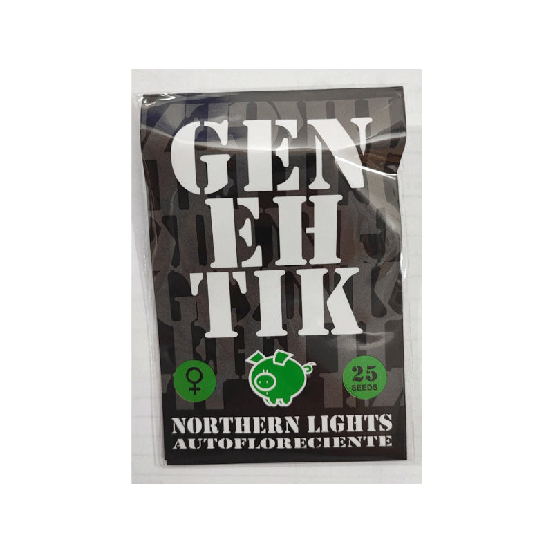 GENEHTIK TXERRI BILBO HAZE 1UD