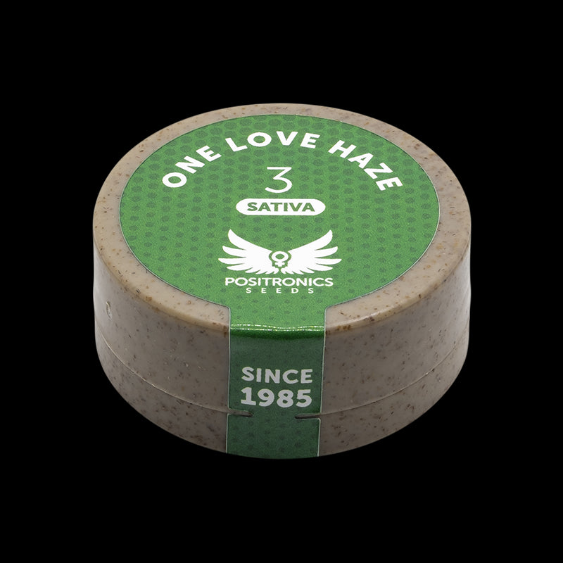 POSITRONICS ONE LOVE HAZE 5UDS