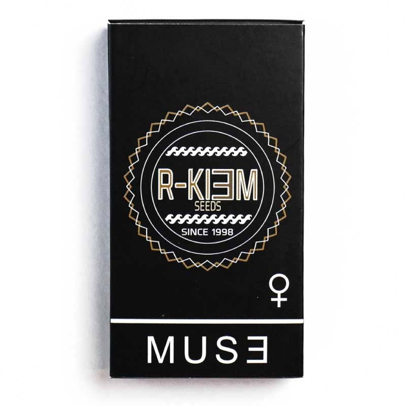 RKIEM SEEDS MUSE 10UDS