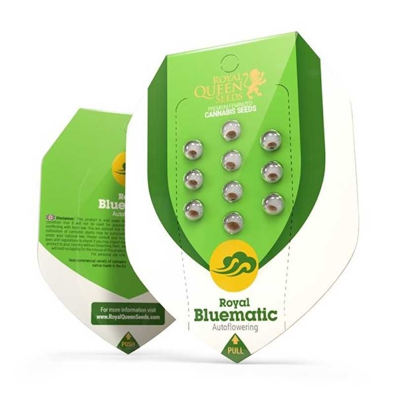 ROYAL QUEEN SEEDS ROYAL BLUEMATIC AUTO 3UDS