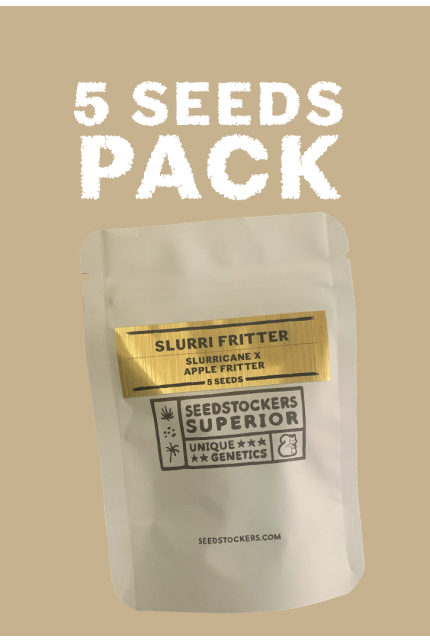 SEEDSTOCKERS - SLURRY FRITTER (3)