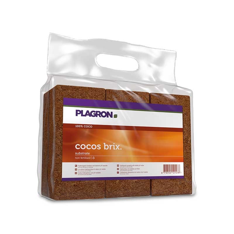 COCOS BRIX 6UDS PLAGRON